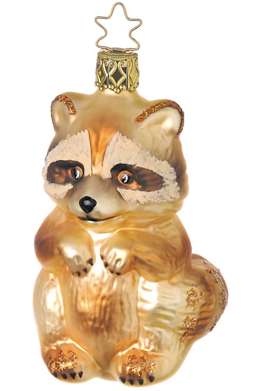 (image for) Rocky Raccoon