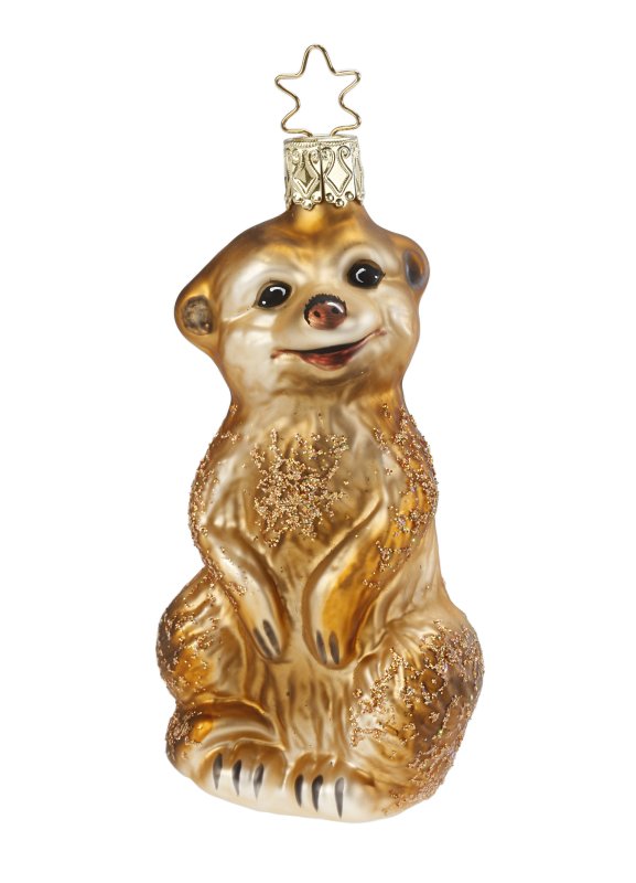 (image for) South African Meercat