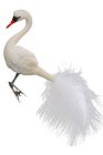(image for) Elegant Swan