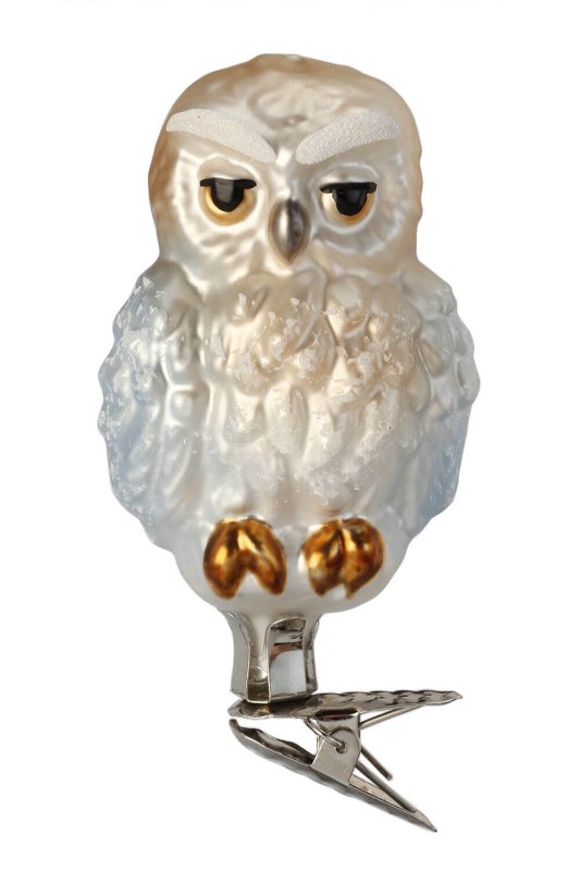 (image for) Arctic Owl