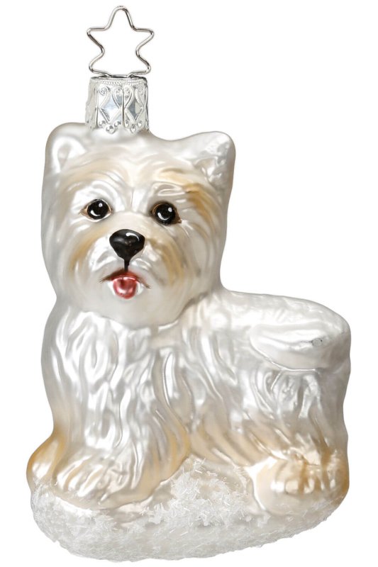 (image for) Schlecki the Scottie