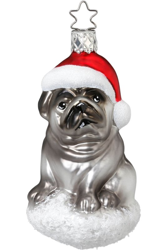 (image for) Pug Pooch