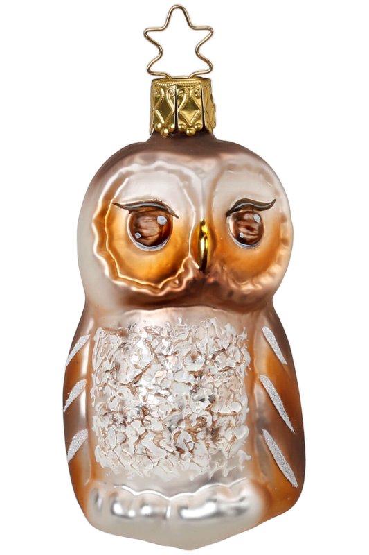 (image for) Autumn Owl