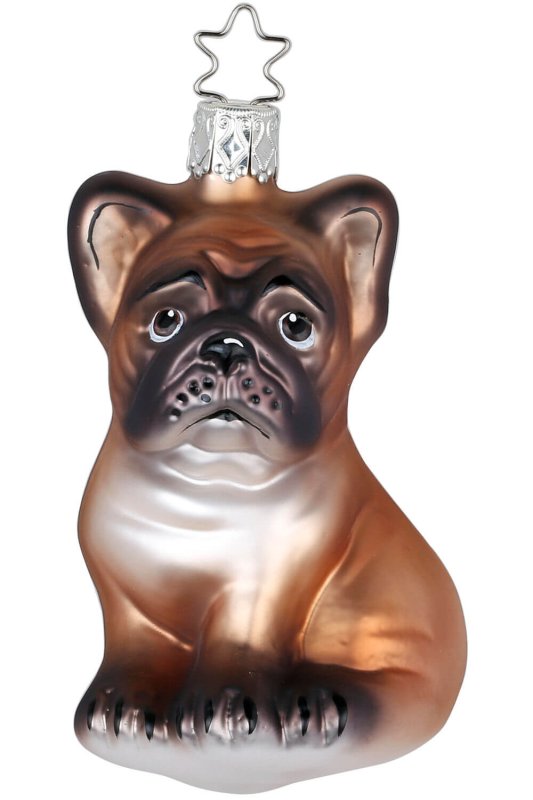 (image for) Bulldog Pup