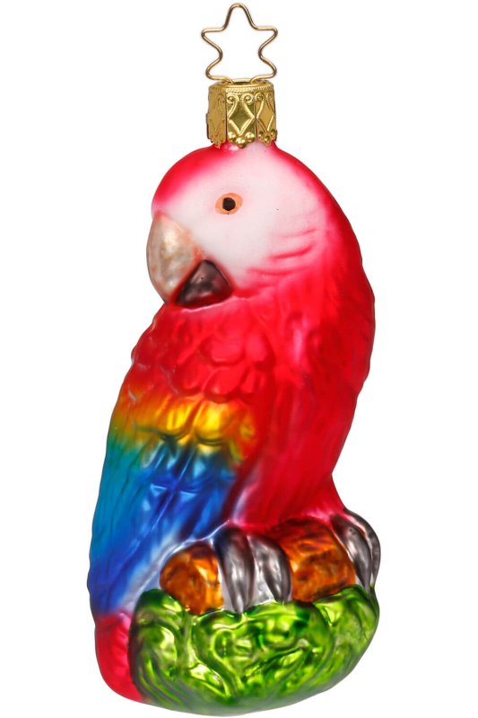 (image for) Tropical Beauty