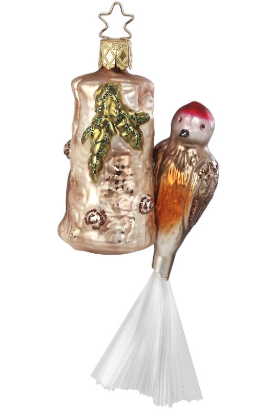 (image for) Forest Woodpecker