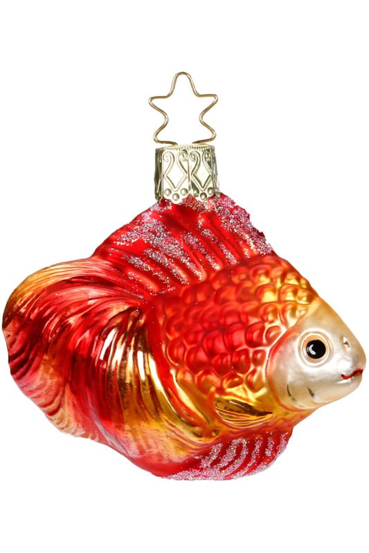 (image for) Goldfish