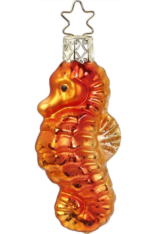 (image for) Sea Horse