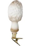 Shaggy Mane (image for) Shaggy Mane