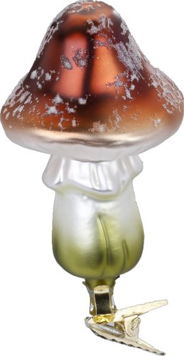 (image for) Chestnut Mushroom