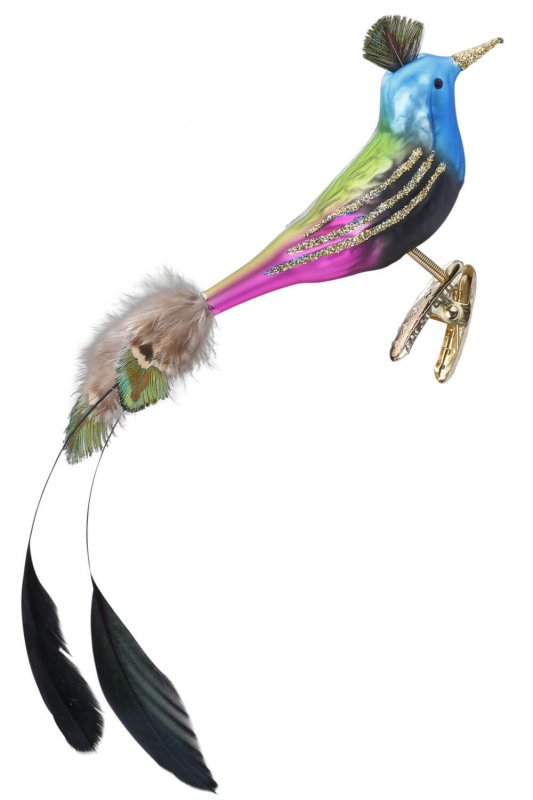 (image for) Funky Bird