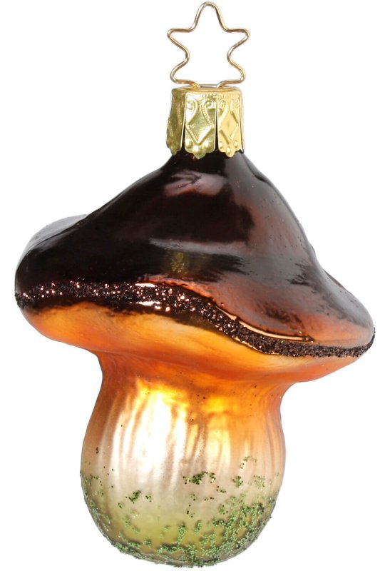 (image for) Bay Bolete