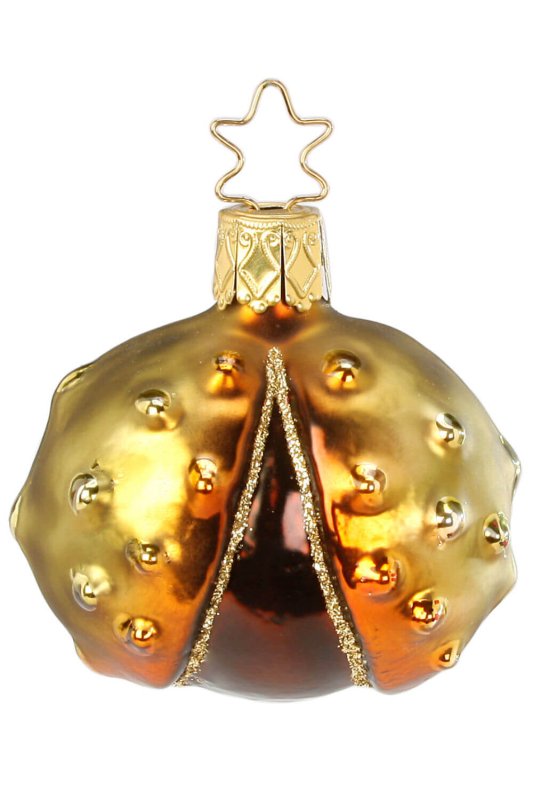 (image for) Forest Chestnut