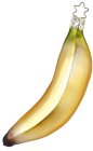 (image for) Banana