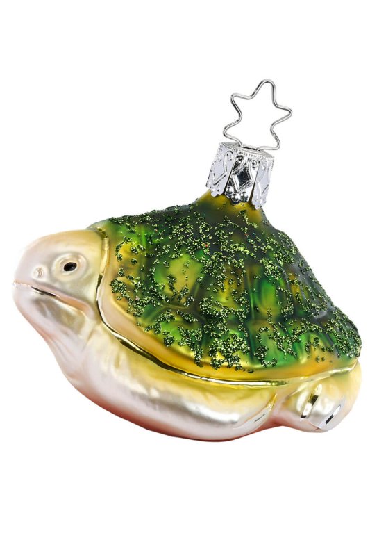 (image for) Ocean Turtle