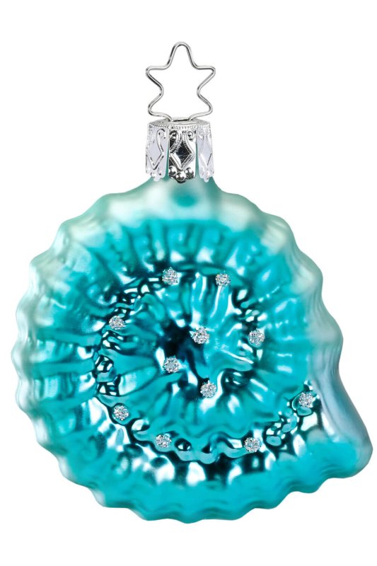 (image for) Freshwater Snail