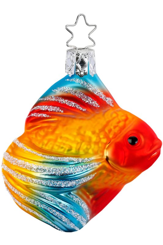 (image for) Veiltail Goldfish