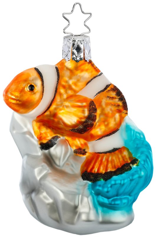 (image for) Clown Fish