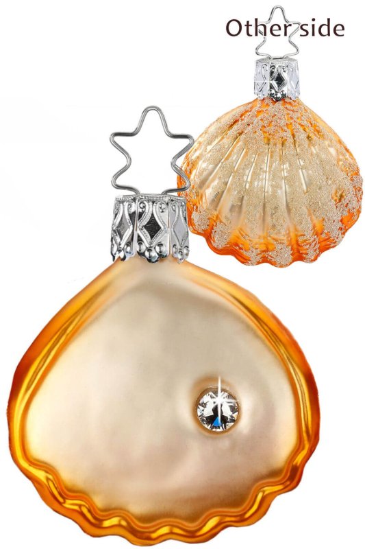 (image for) Sea Shell