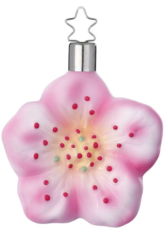 (image for) Cherry Blossom