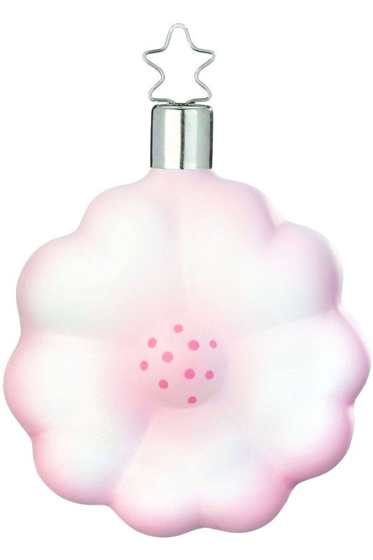 (image for) Primrose, Pink