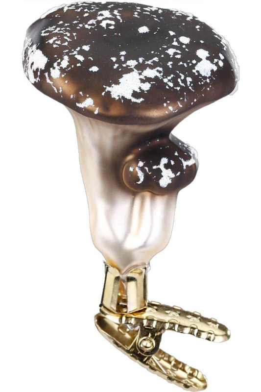 (image for) Brown Chanterelle