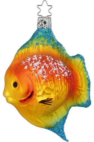 (image for) Yellow Angel Fish