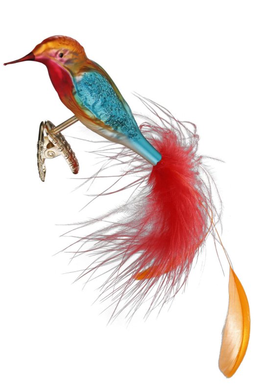 (image for) Bea, Bird