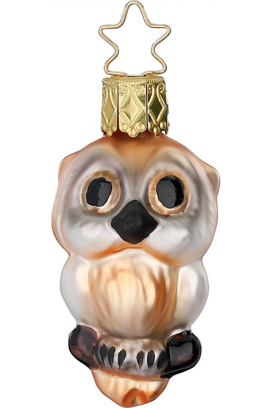 (image for) Owl Ursula