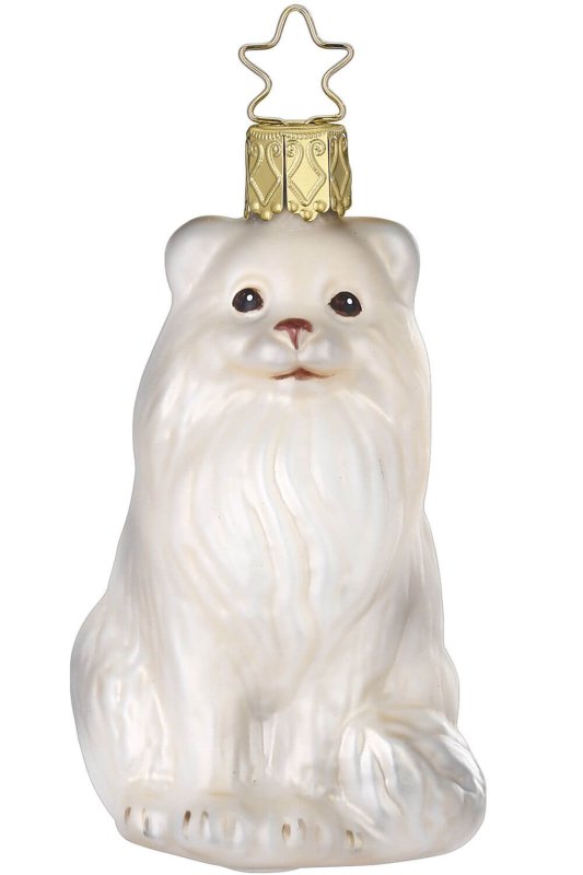 (image for) Persian Cat