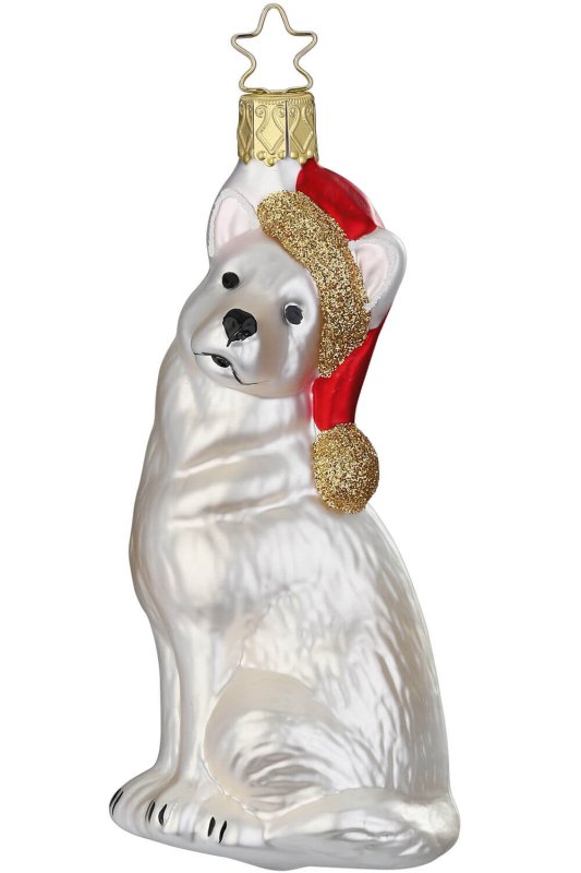 (image for) Flocke, Dog