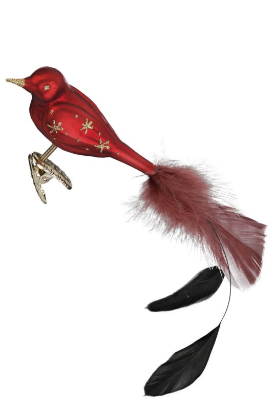 (image for) Star Bird