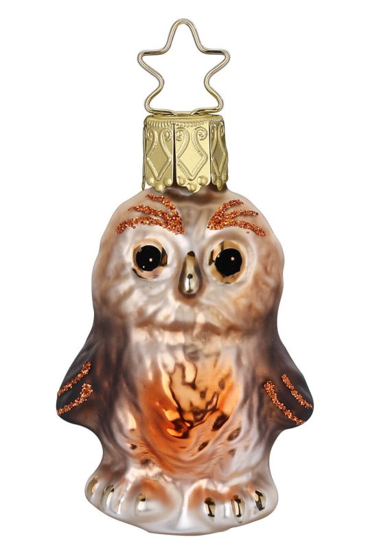 (image for) Little Owl