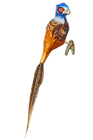 (image for) Pheasant