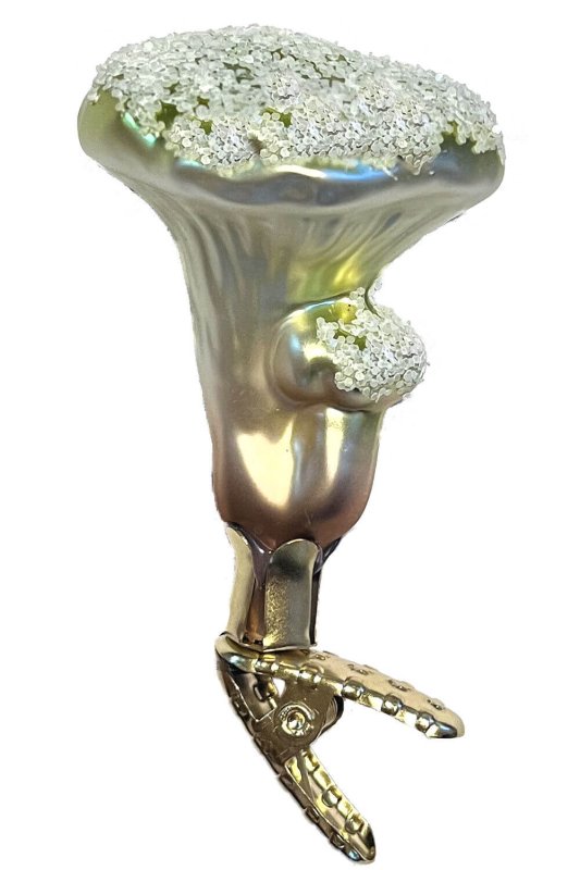 (image for) Chanterelle