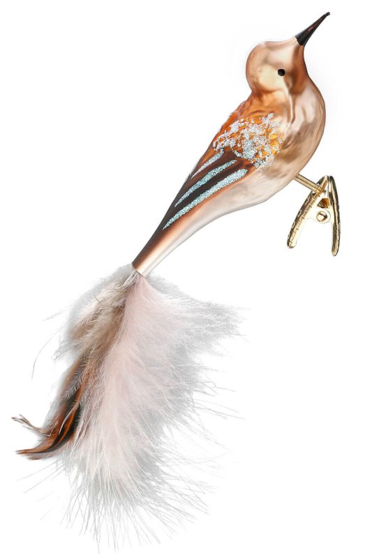 (image for) Throstle