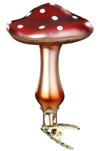 (image for) Forest Mushroom