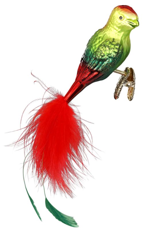 (image for) Philippines Cockatoo