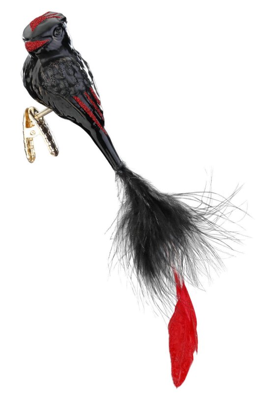 (image for) Feather Splendor