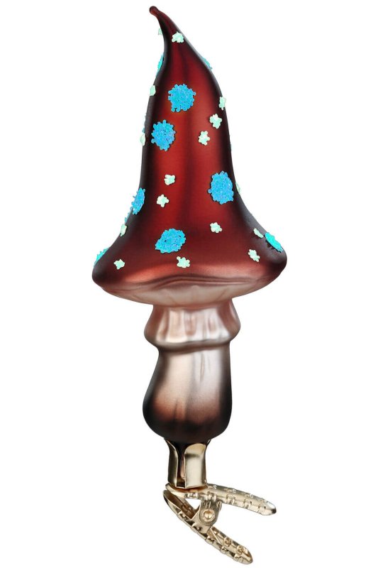 (image for) Psilocybe