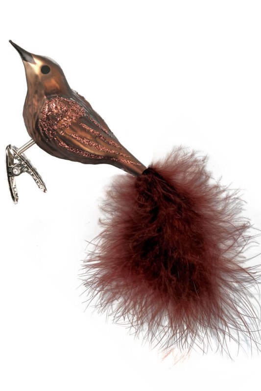 (image for) Mrs Blackbird