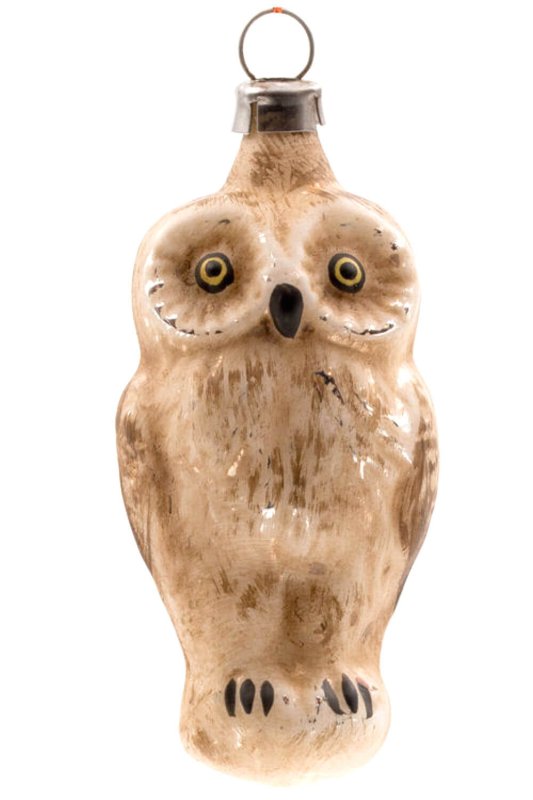 (image for) Small owl