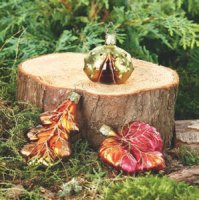 (image for) Nuts, Trees, & Cones