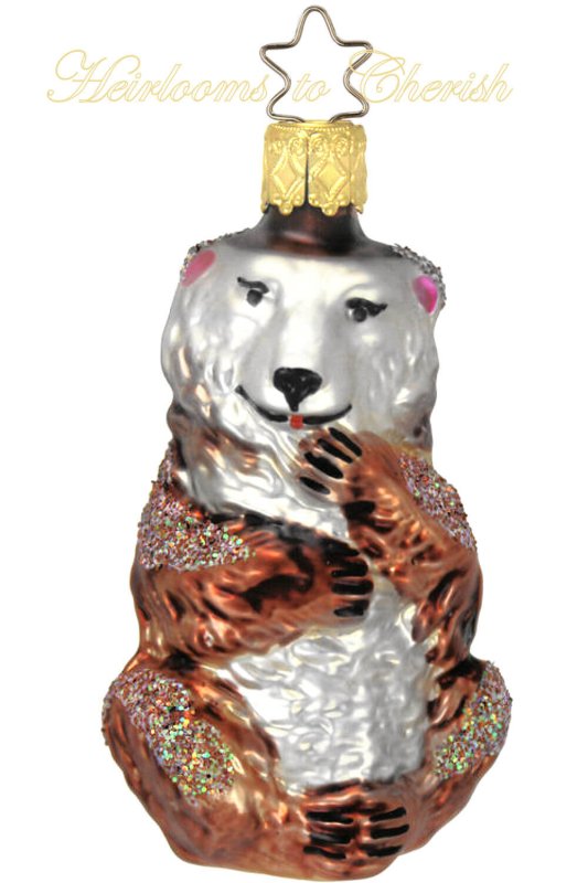 (image for) Grizzly Bear