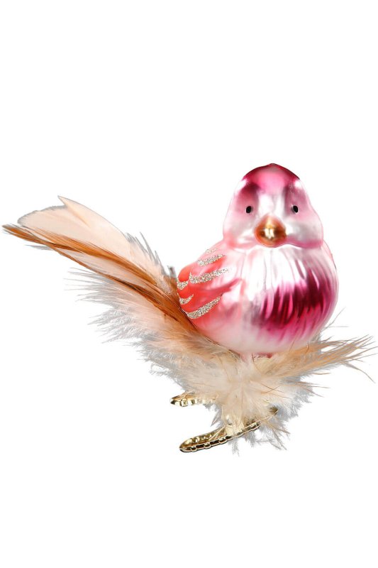 (image for) Clip-on Bird, Tender Singing