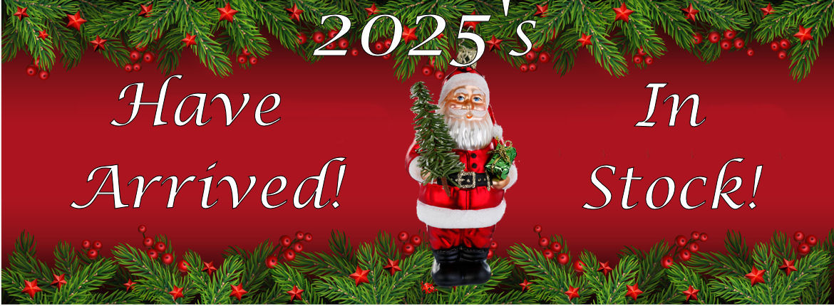 (image for) 2025